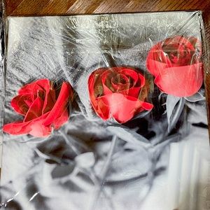 3 piece black and white canvas art with red roses